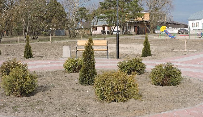 Местные инициативы - на благо родного поселения