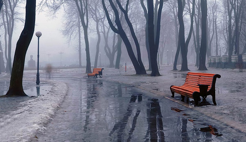 Понедельник в Калуге будет дождливым