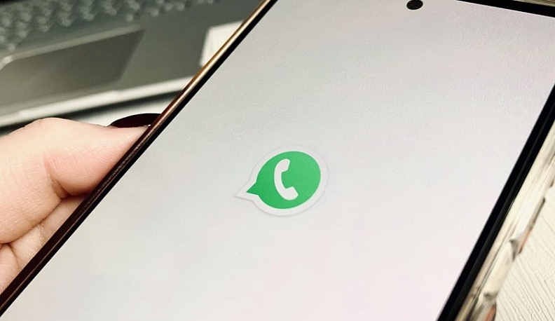 «Вебер» зафиксировал падение интереса россиян к WhatsApp и рост аудитории Telegram