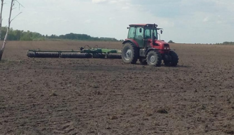98 тысяч гектаров в Калужской области засеяно яровыми культурами