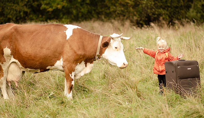 Что нам стоит дом построить