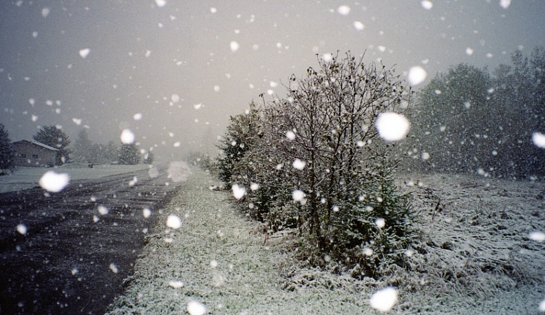 В понедельник и вторник в Калуге ожидаются дождь и мокрый снег
