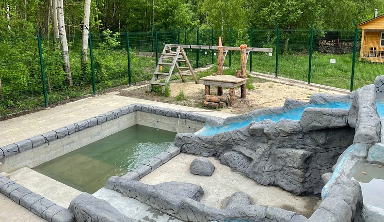 Для суперавиамедведя Мансура создали нечеловеческий бассейн