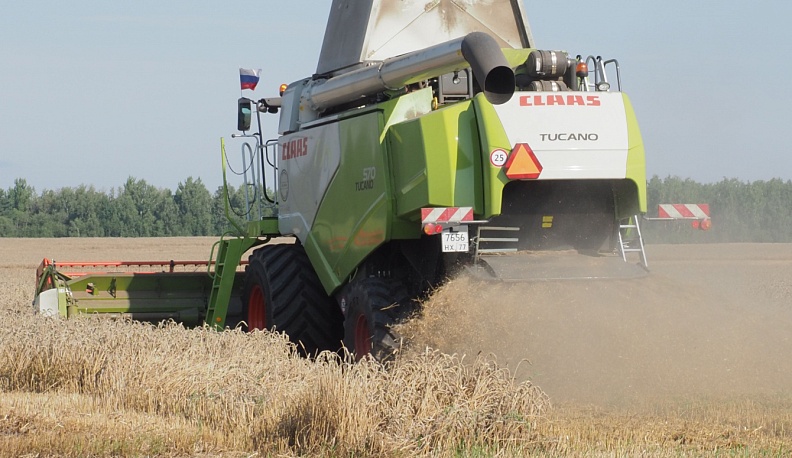 На полях Калужской области началась уборка яровых зерновых