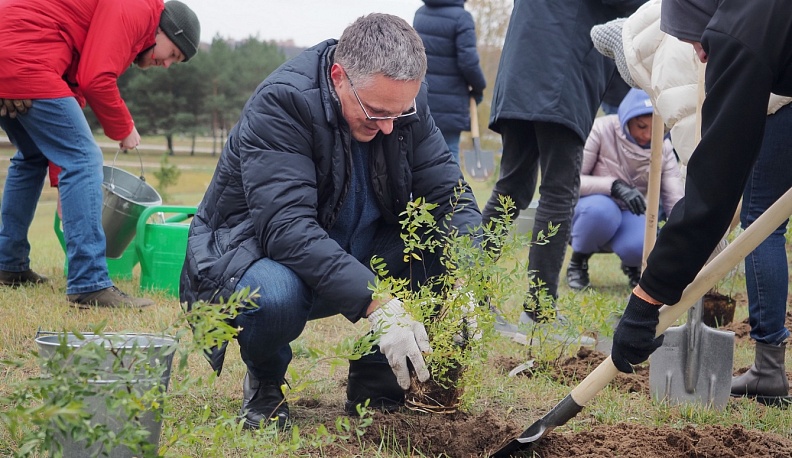 Аллея Новороссии в Калуге пополнилась кустами спиреи