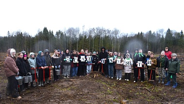 В Кирове высадили «Сад Памяти» из четырёх тысяч деревьев