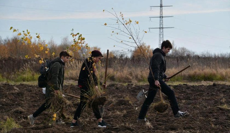 Будут петь соловьи...