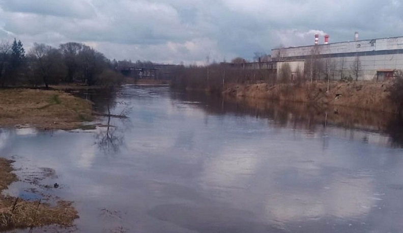 В Калужской области в озеро сбросили нефтепродукты