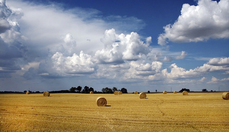 В Калугу на два дня вернется жаркое лето