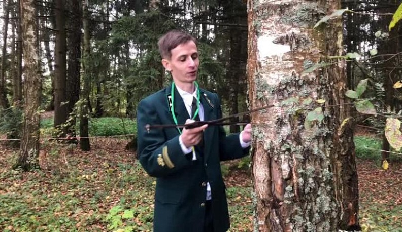 В Калужской области пройдет конкурс профмастерства среди молодых специалистов лесного хозяйства