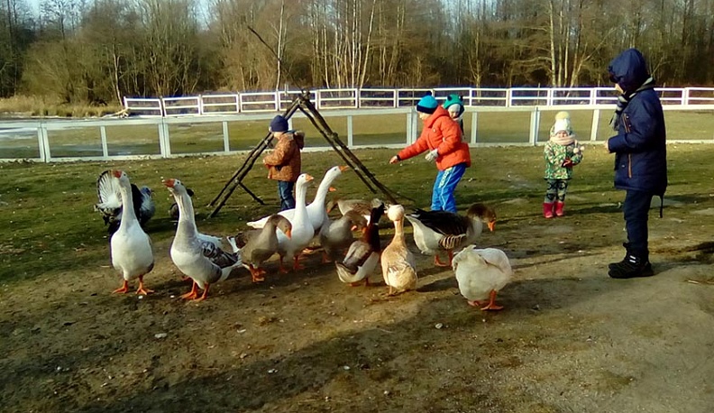 В Перемышльском районе займутся развитием агротуризма