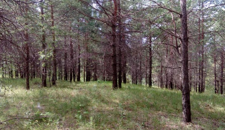 В Калужской области еще одна территория объявлена памятником природы 