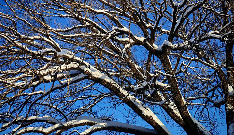 В Калужской области весна начнется с потепления и гололедицы 