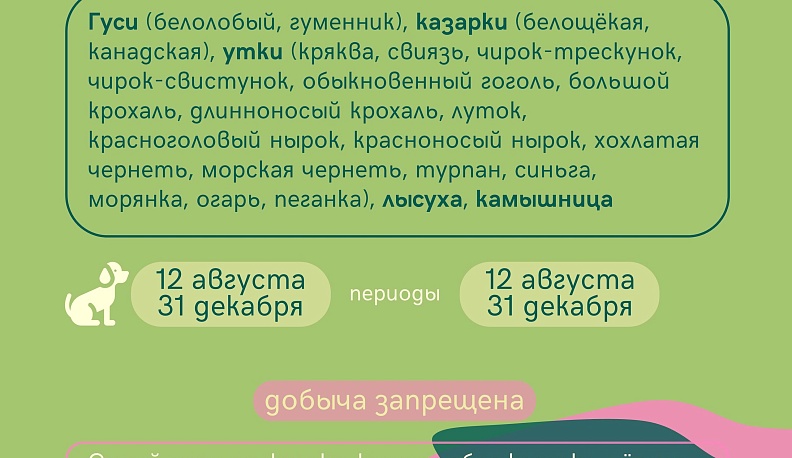 Сроки охоты объявлены в Калужской области