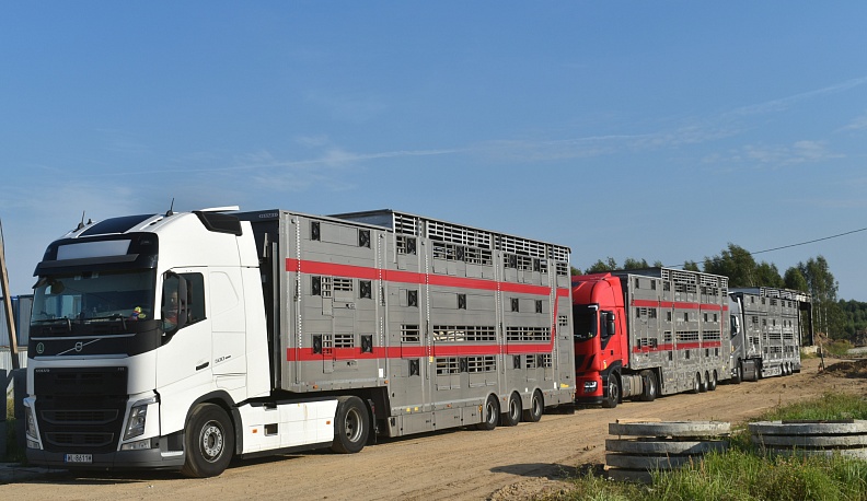 Стойкие и эффективные