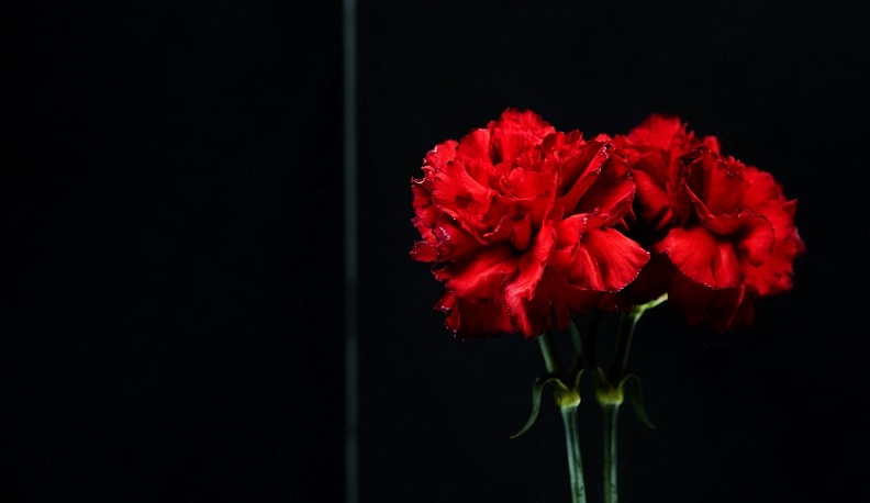 В Калужской области выделили деньги на ремонт и благоустройство более 40 воинских захоронений