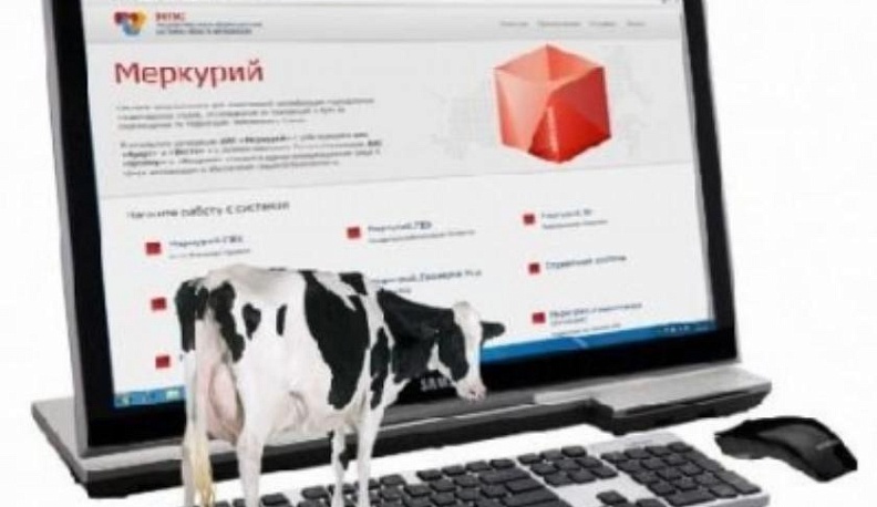 В Калужской области выявлено 38 нарушений в ветеринарных документах на продукты