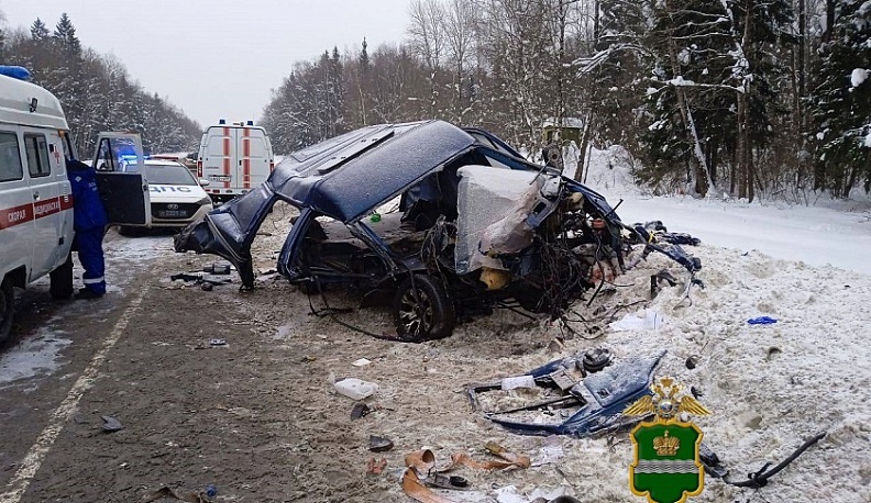В ДТП под Калугой пострадали два человека