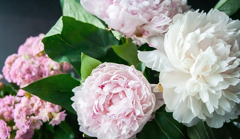 В феврале две жительницы Калужской области отпразднуют 100-летний юбилей