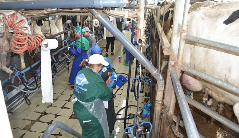 Региональный конкурс среди операторов машинного доения коров в 2023 г. проводился на базе предприятия ООО «Правда Н».