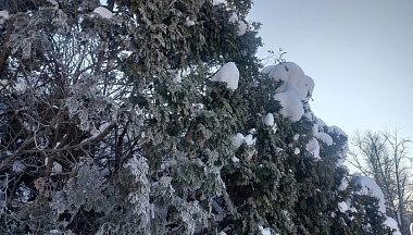В Калуге продолжает держаться минусовая температура