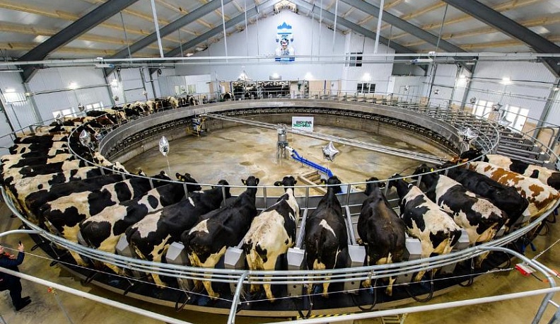 Портфель инвестиций растёт