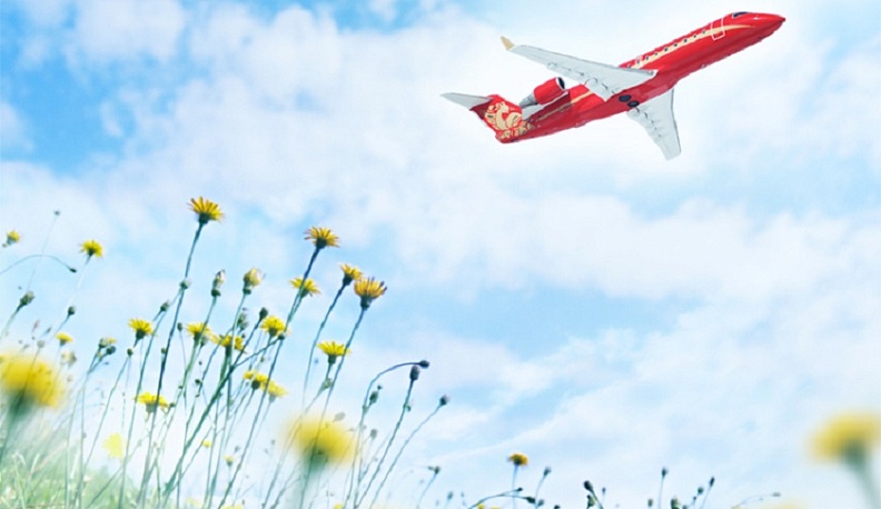 Появились в продаже билеты из Калуги в Казань, Екатеринбург и Санкт-Петербург на летний сезон