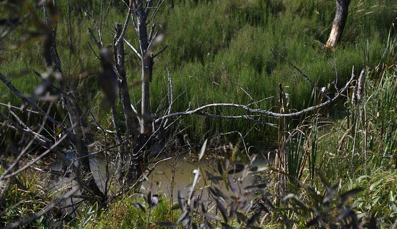 Злоключения ключей