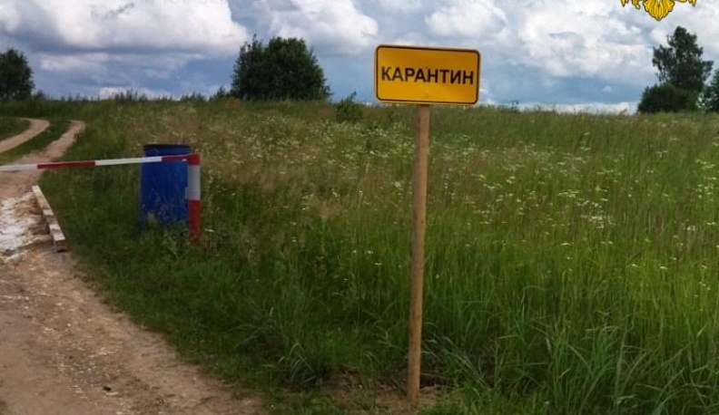 Очаг африканской чумы свиней обнаружили в Калужской области