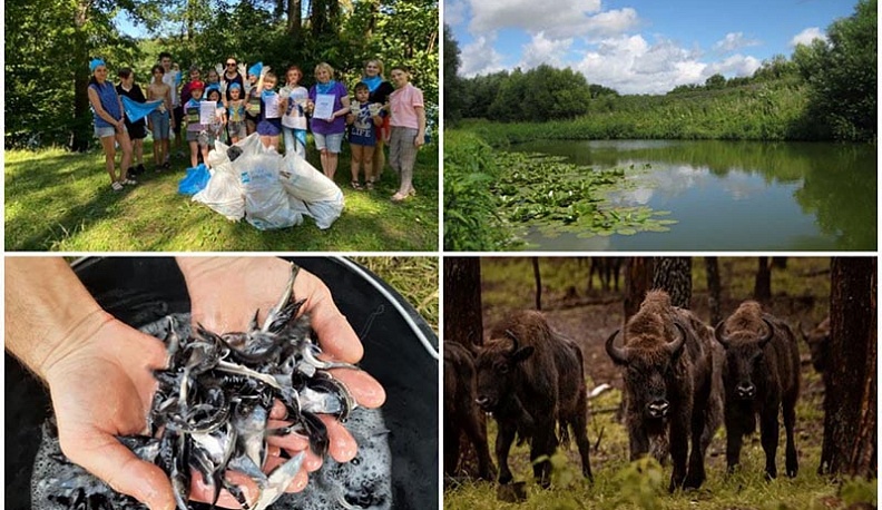 Калужская область вошла в ТОП-10 национального экологического рейтинга