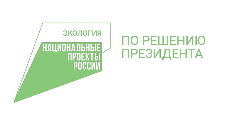 В 2024 году крупных лесных пожаров в Калужской области не допущено