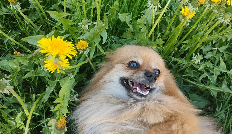 В Калуге сохранится жаркая погода