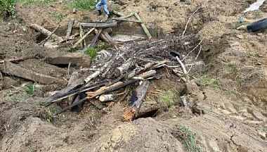 16 скотомогильников планируется ликвидировать в Калужской области за 2026 год