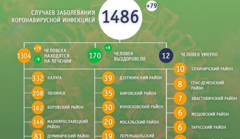 В Калуге 170 человек вылечили от COVID-19