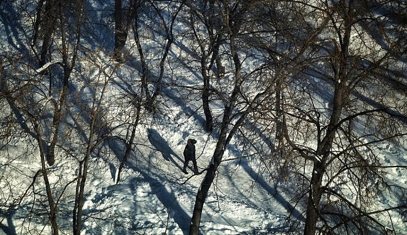 В Калуге начала работу выставка памяти фотожурналиста Георгия Орлова