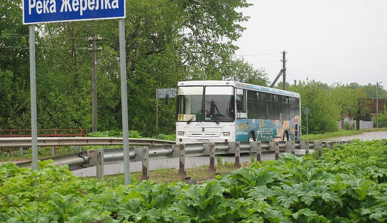 Борщевик или человек: кто кого?