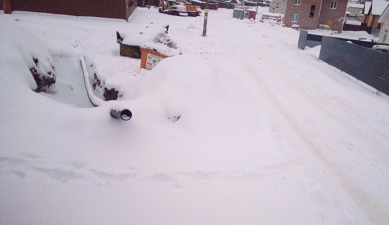 Региональный экологический оператор просит сообщать ему о переполненных мусором контейнерах