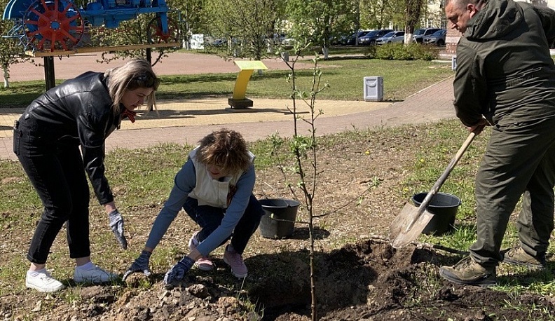 В Медыни появилась аллея Мужества