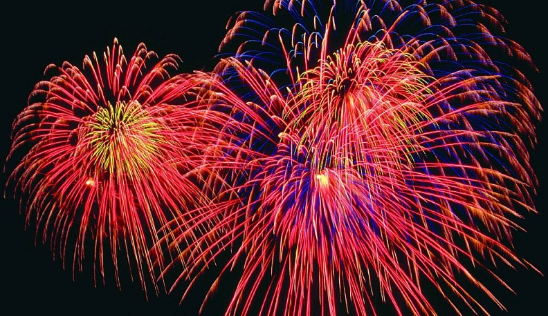 «Шипы» огненных цветов