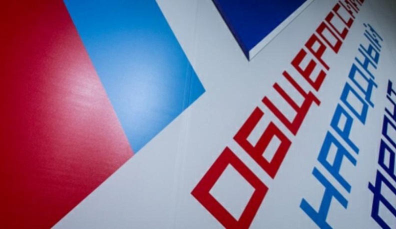 Инициативу ОНФ по освобождению врачей от уголовной ответственности за утрату препаратов поддержал президент России