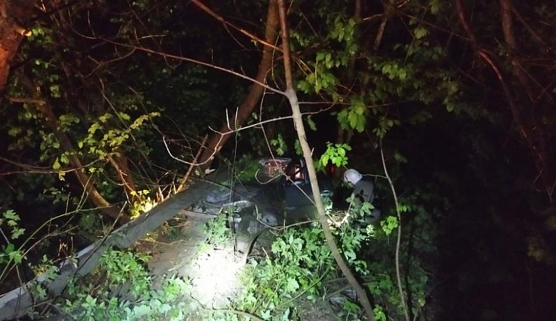 В Боровском районе иномарка врезалась в столб и слетела в кювет