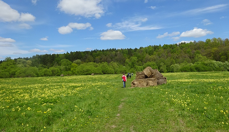 Хватит мечтать, пора отдыхать!