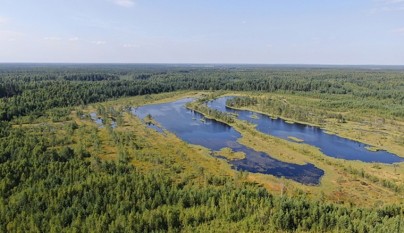 В Мосальске представили фотографии природных памятников области