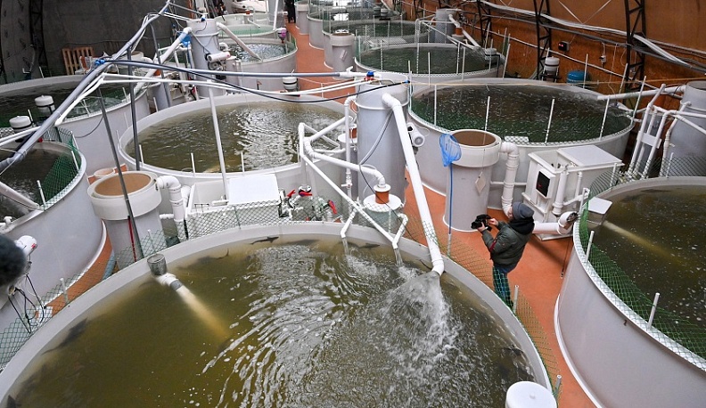 Калужские рыбоводческие хозяйства будут повышать эффективность производства