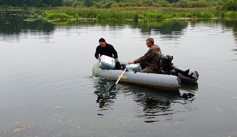 Поддерживать, сохранять, улучшать1