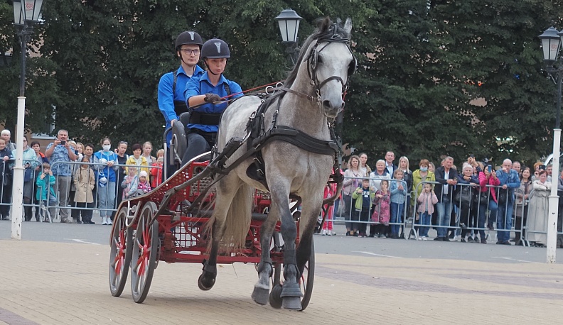 Старейшие начинают и выигрывают