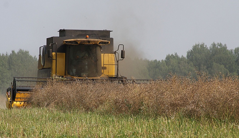 Конец страды  не за горами