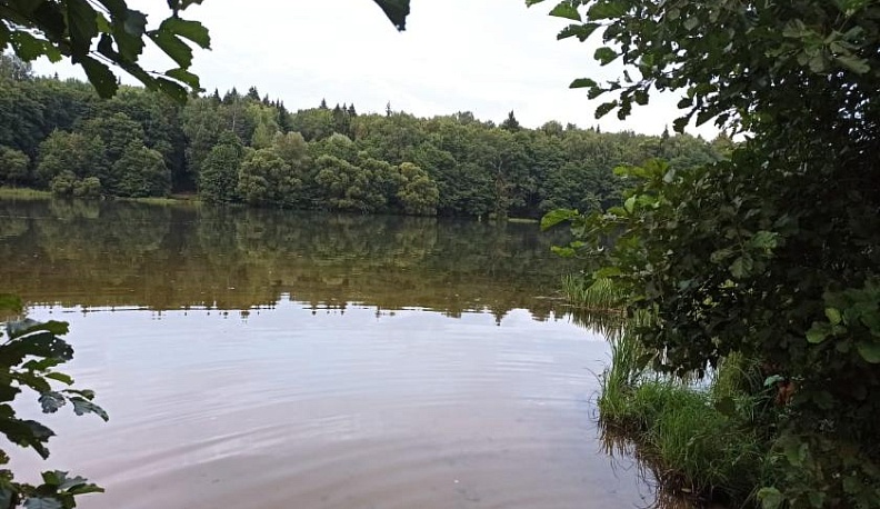 В Калужской области назвали небезопасные для купания водоемы
