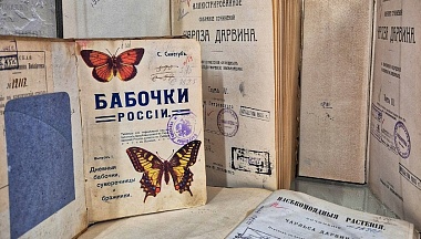 Немецкие захватчики сожгли в Калуге почти 80 тысяч книг