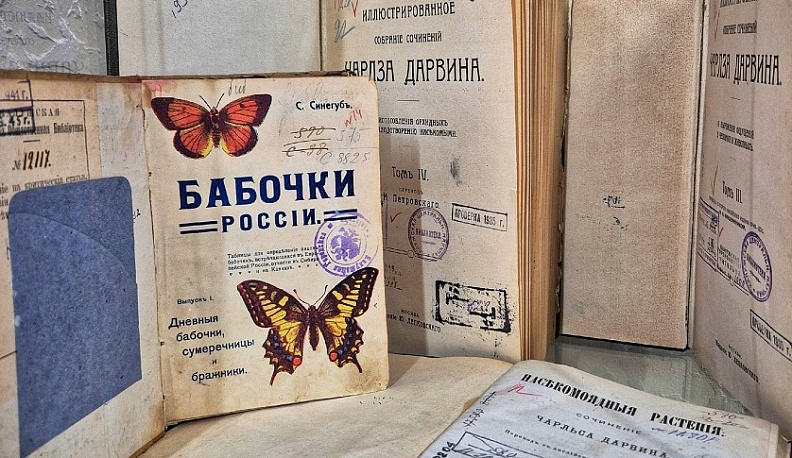 Немецкие захватчики сожгли в Калуге почти 80 тысяч книг